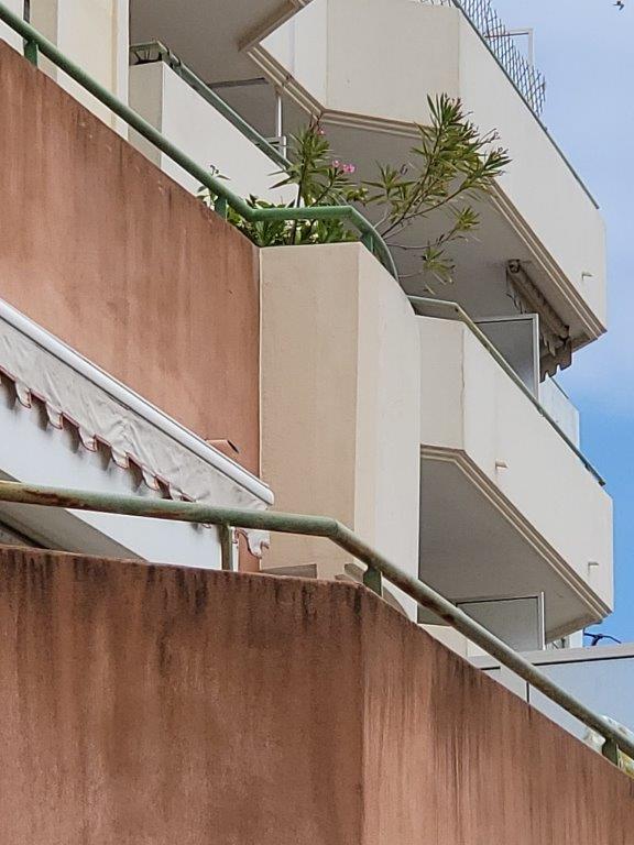 Concept Acro Restauration Facade Nice 20210527 150151